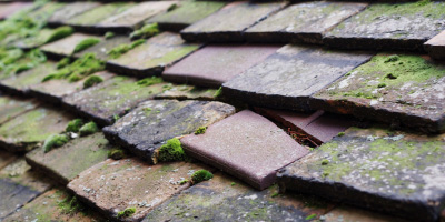 Brantham roof repair costs